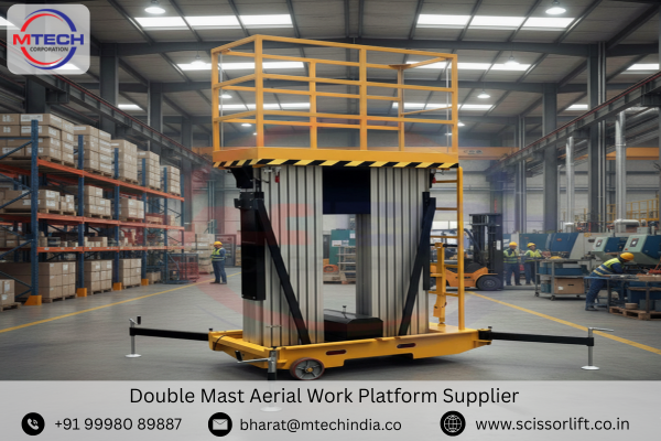 Double Mast Aerial Work Platform Supplier